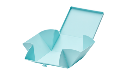 No. 02 Mint Green Box/Petrol Strap