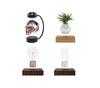Novelty Items