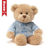 It's a Boy Bear, 12" 6047357