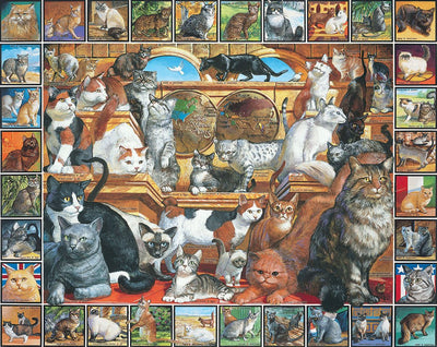 World of Cats 135