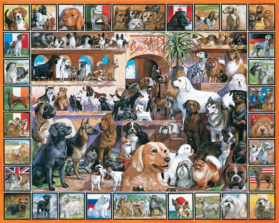 World of Dogs 141
