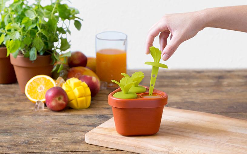 Veggie Pop Popsicle Maker