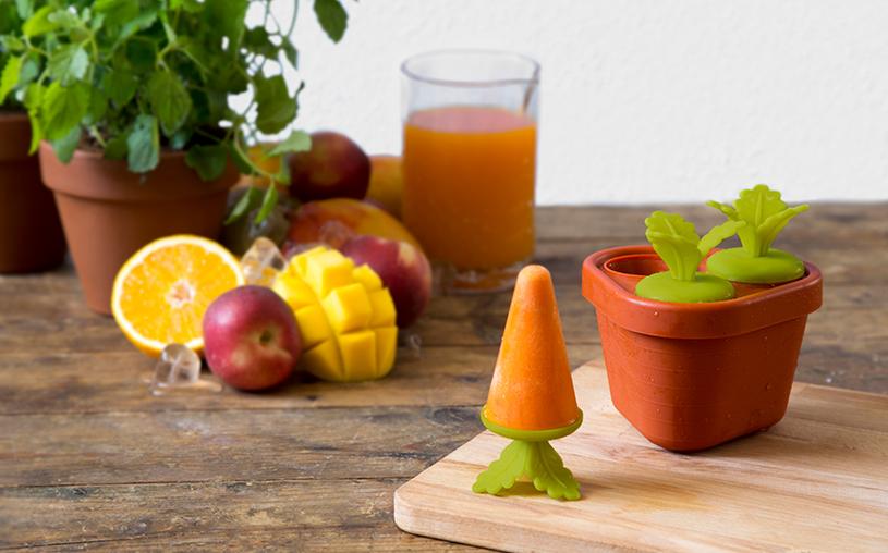 Veggie Pop Popsicle Maker