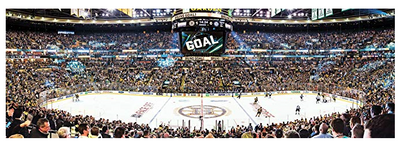NHL Boston Bruins Arena Puzzle