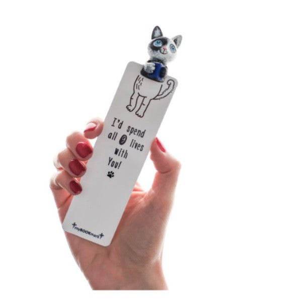 Kitty Reader Mr. Smarty 230