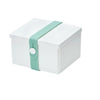 No. 02 White Box/Mint Strap